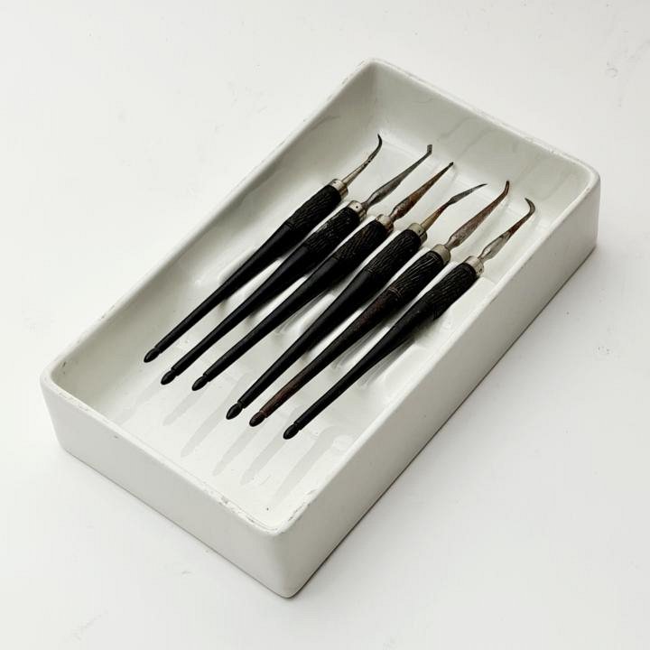 Ebony Handled Dental Scalers in Ceramic Steriliser